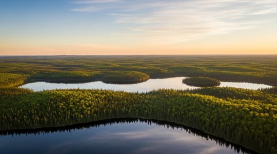 Vue aérienne d'une vaste forêt boréale au crépuscule, avec des lacs miroirs et des tons dorés, symbolisant la respiration de la nature.